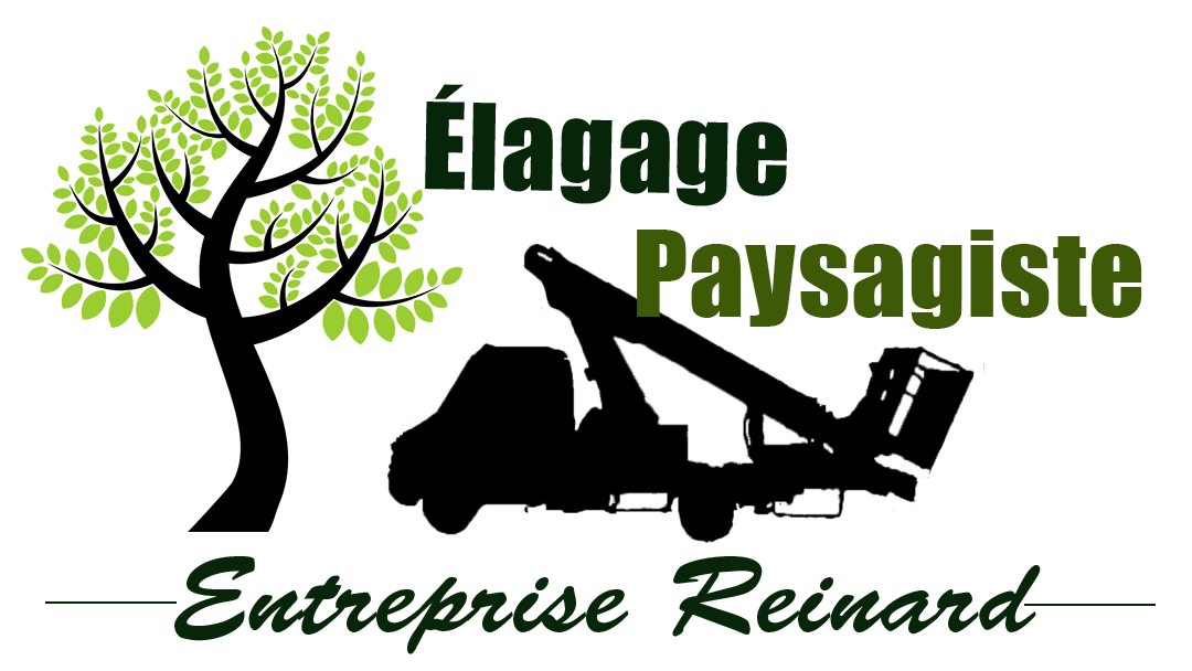 Élagage Reinard  Abattage - Taille de haie - Paysagiste Vitrolles Bouches du Rhône 13
